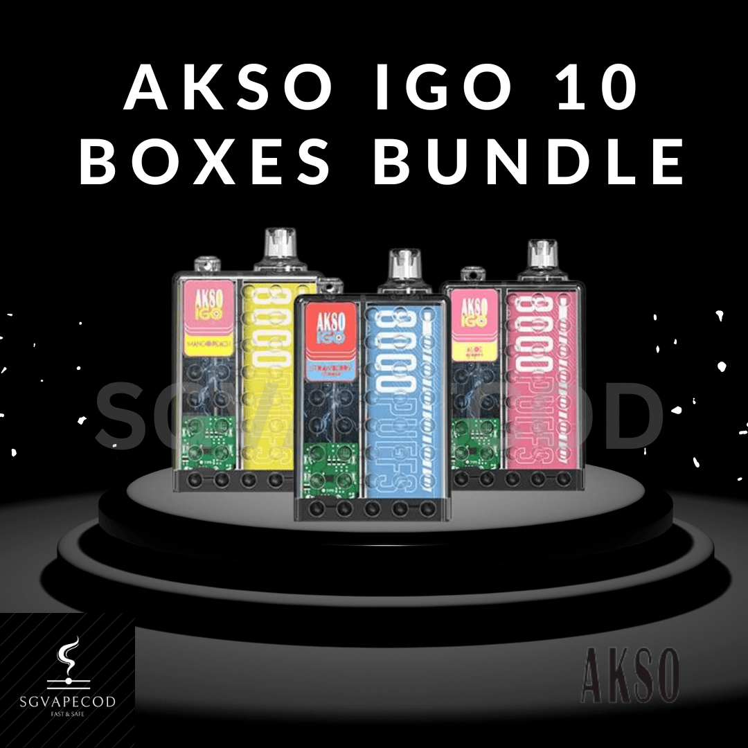 Akso IGO 8000 Bundle